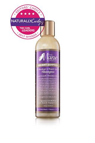 The Mane Choice Ancient Egyptian Anti-Breakage & Repair Antidote Shampoo & Conditioner